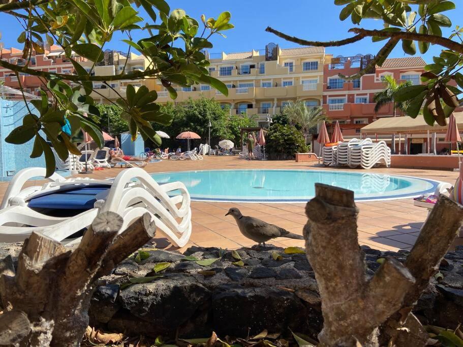 Amazing Penthouse Appartement Los Cristianos  Buitenkant foto